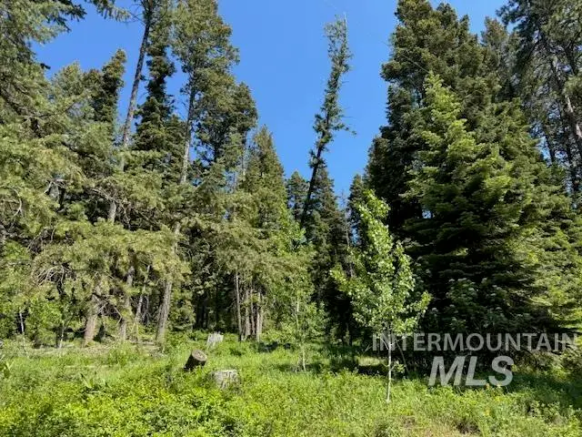 1633 Bear Trail, Cascade, ID 83615 - #3