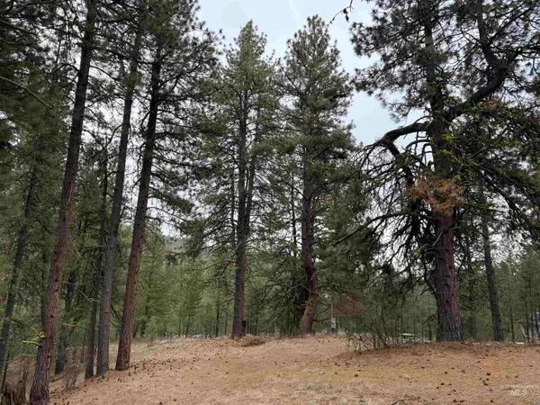 Lot 16 Sunset Loop, Cascade, ID 83611