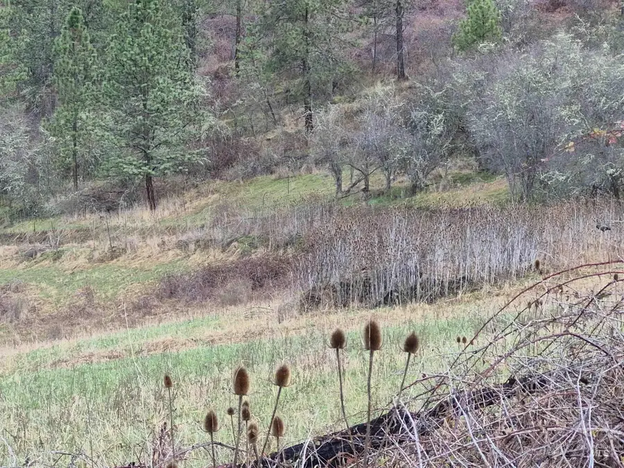 TBD Elk Hill St. Lot # 3, Kamiah, ID 83536 - #2