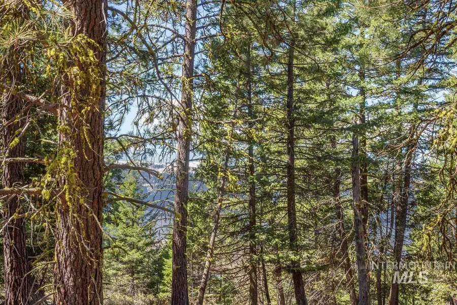 161 Little Donner Drive, Cascade, ID 83611 - #2