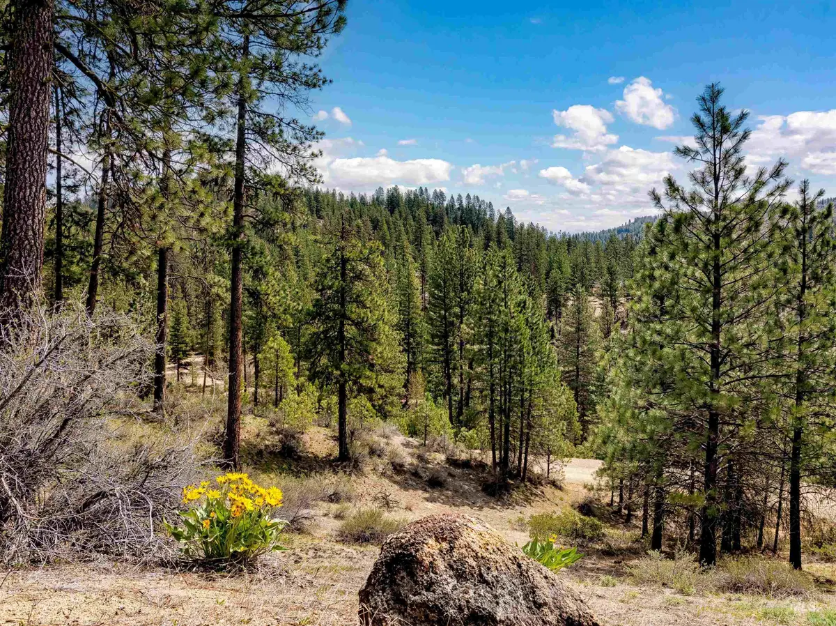 LOT 16 Napias Sub, Boise, ID 83716 - #1