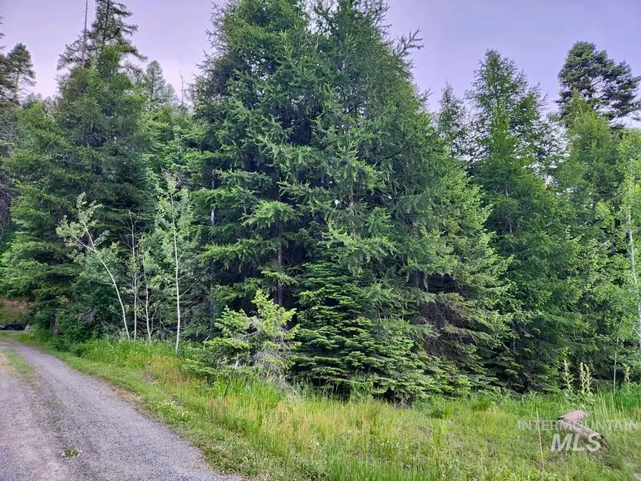 1457 West Mountain Road, Donnelly, ID 83615 - #3