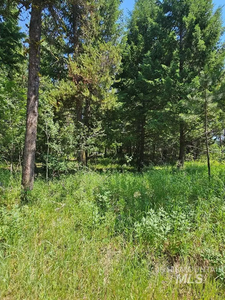 693 N Samson Trail, McCall, ID 83638 - #2