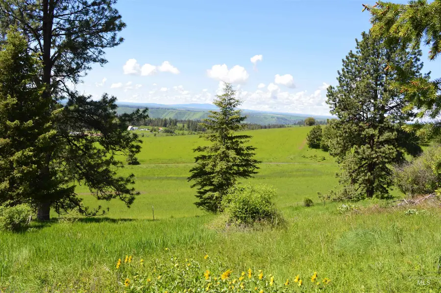 TBD Serenity Rd Lot 3, Kamiah, ID 83536 - #2
