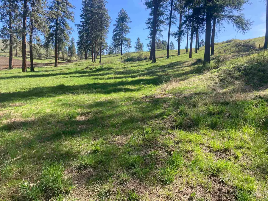 TBD Rangeline Drive, Kamiah, ID 83536 - #2