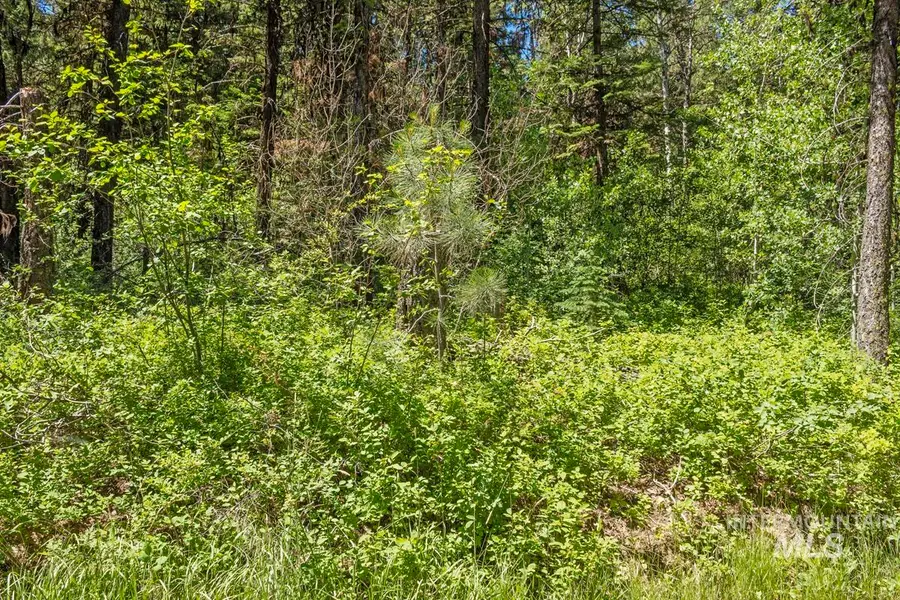 513 Susan Road, Cascade, ID 83611 - #3