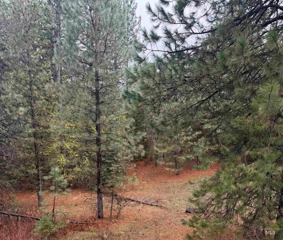 TBD Lot 27 Price Loop, Cascade, ID 83611 - #3