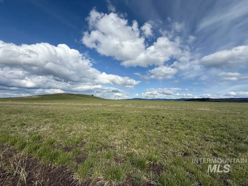 B3 Grace Lane, Grangeville, ID 83530 - #1