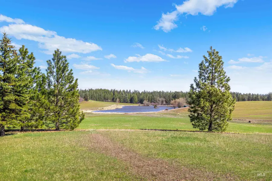 3592 Freeman Creek Rd, Lenore, ID 83541 - #2