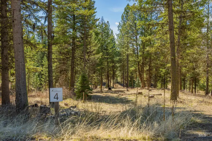 15 York Street, McCall, ID 83638 - #3