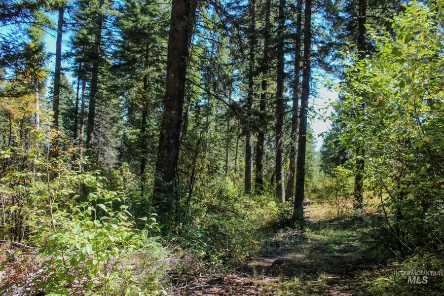 1204 Porcupine Road, Cascade, ID 83611 - #3
