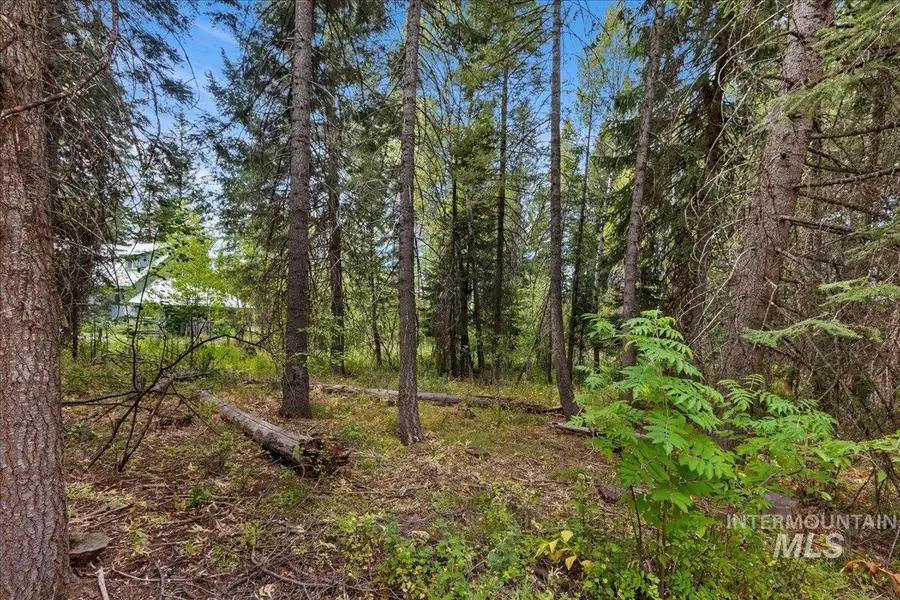 813 Reedy Ln, McCall, ID 83638 - #2