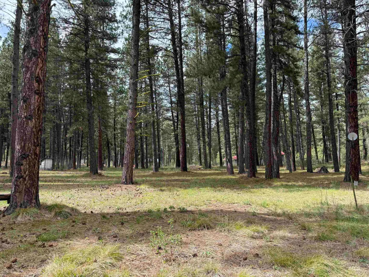 5 Ranft Dr, Idaho City, ID 83631 - #1