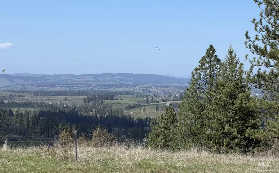 442 Elk City Wagon Rd, Clearwater, ID 83552 - #3