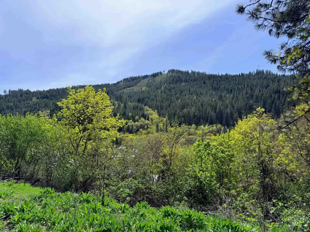 1620 & 0 Forsman Ave, Orofino, ID 83544 - #1