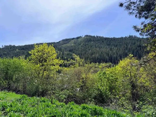 1620 & 0 Forsman Ave, Orofino, ID 83544
