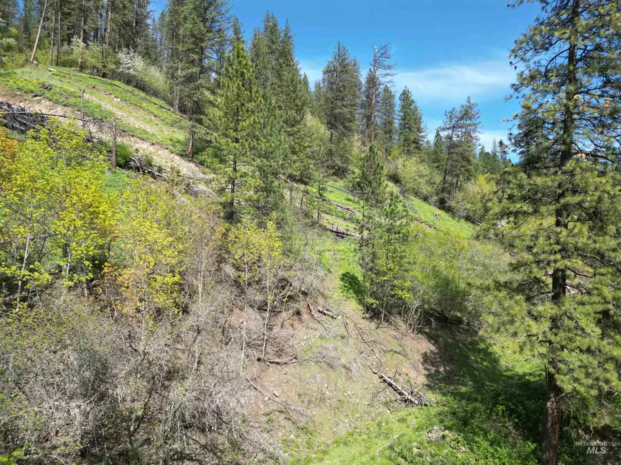 1620 Forsman Ave, Orofino, ID 83544 - #2
