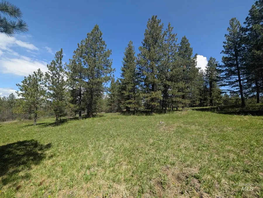 TBD Jackpine Rd, Cottonwood, ID 83522 - #3