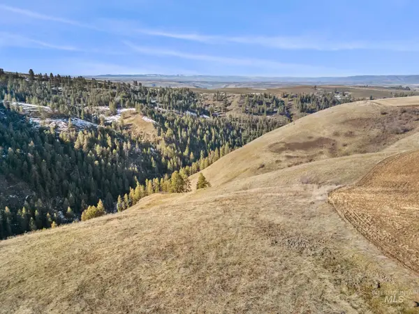 TBD Old Culdesac Road, Culdesac, ID 83524