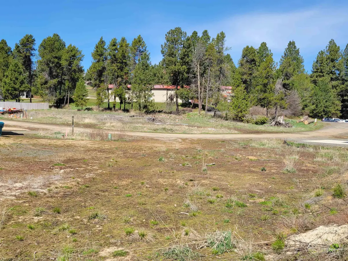 405 Antonette Circle, Cascade, ID 83611 - #1