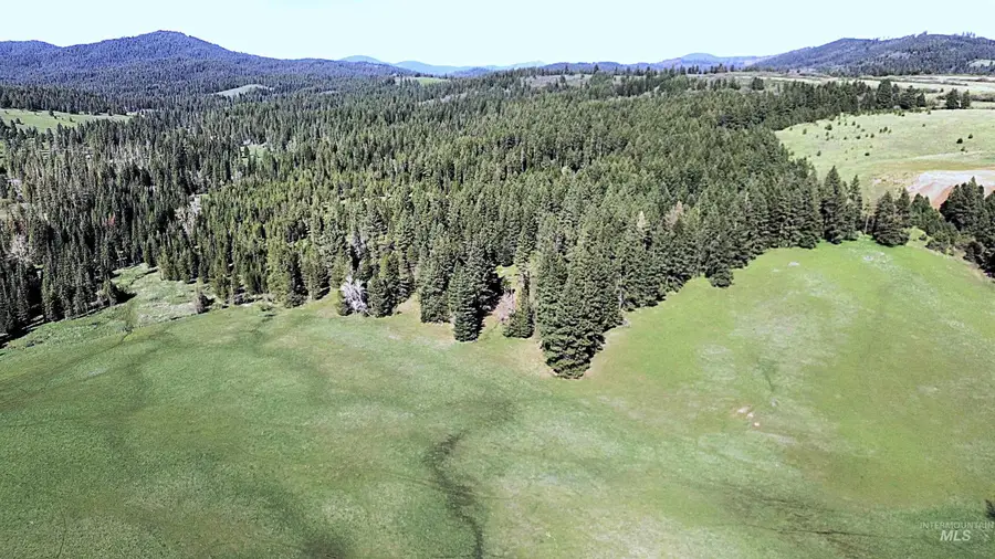 1462 Deep Creek Rd, Potlatch, ID 83855 - #3