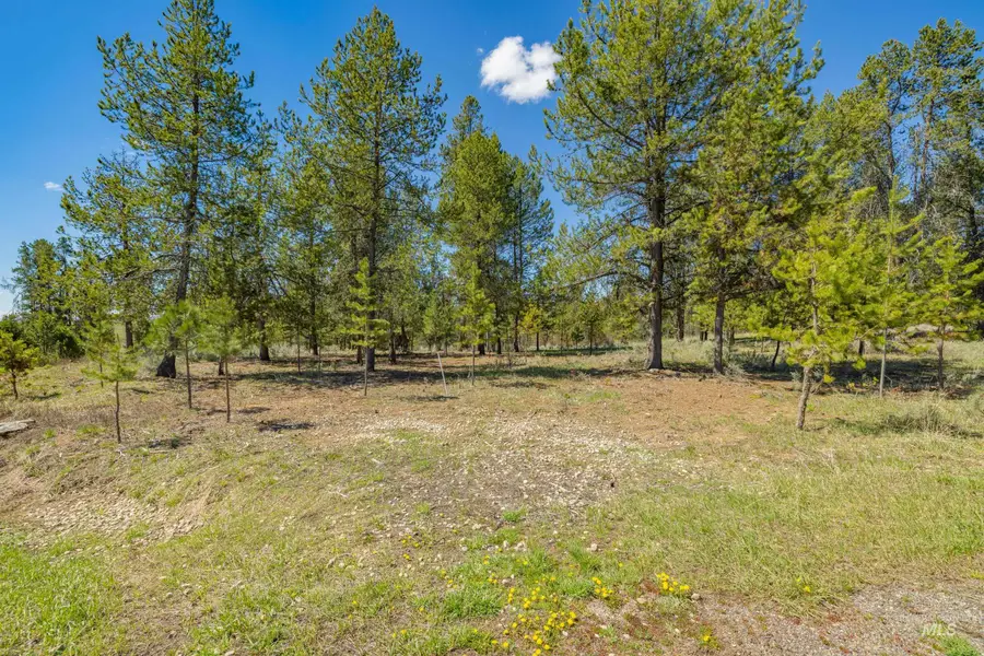 435 Wilhelm Creek Court, McCall, ID 83638 - #3