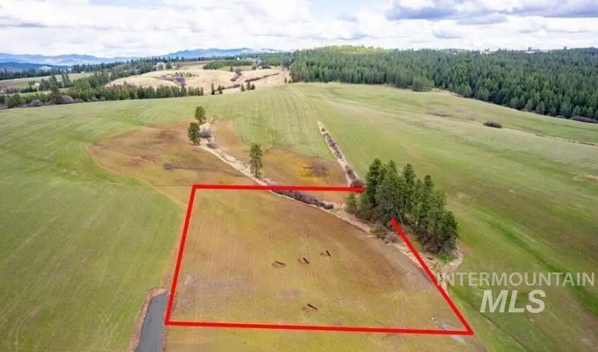 NKA Clifford Rd, Princeton, ID 83857 - #1