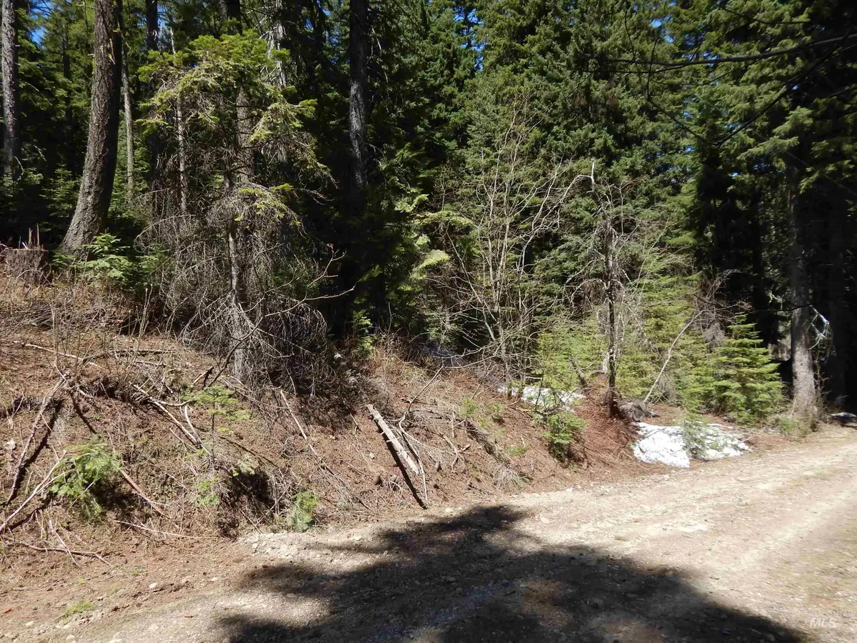 1601 Bear Trail Loop, Donnelly, ID 83615 - #1