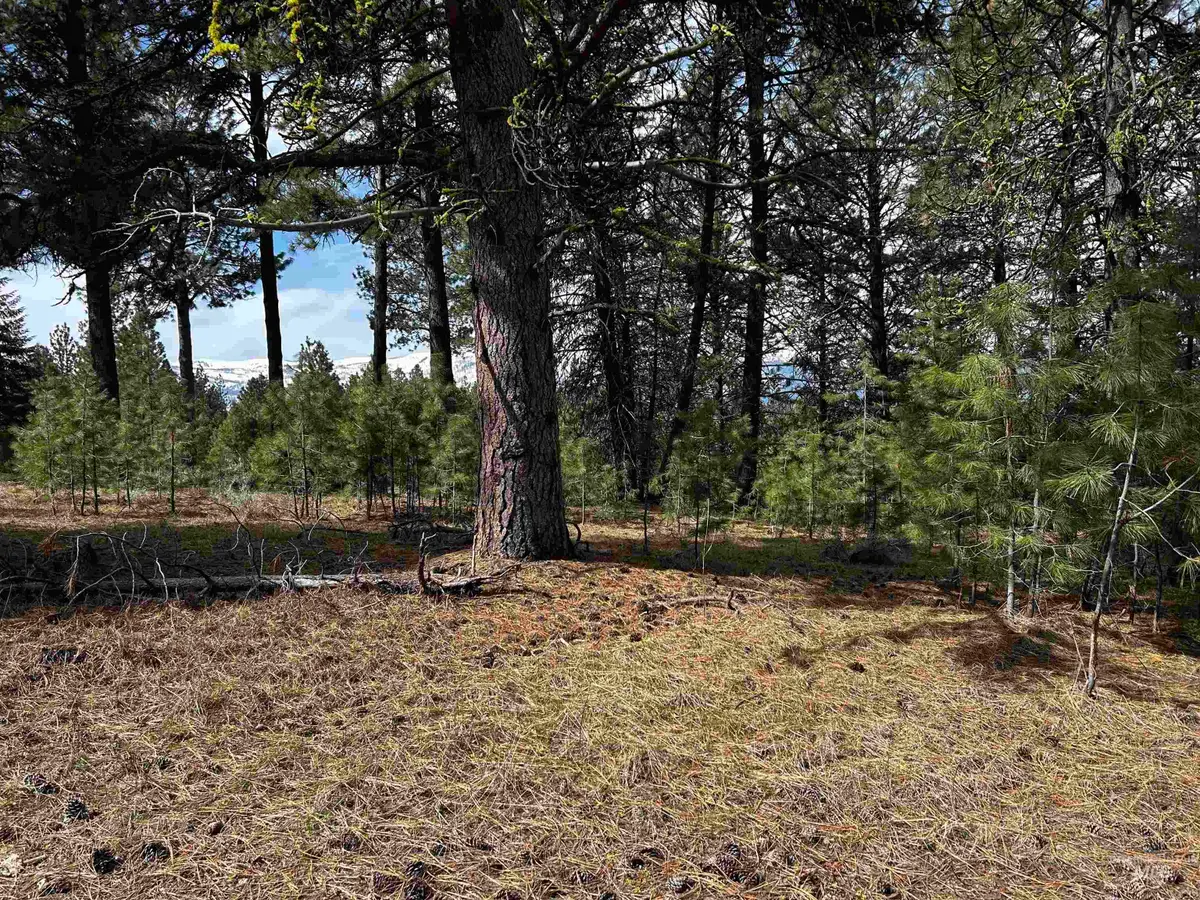 1483 Pine Lakes Ranch Rd, Cascade, ID 83611 - #1