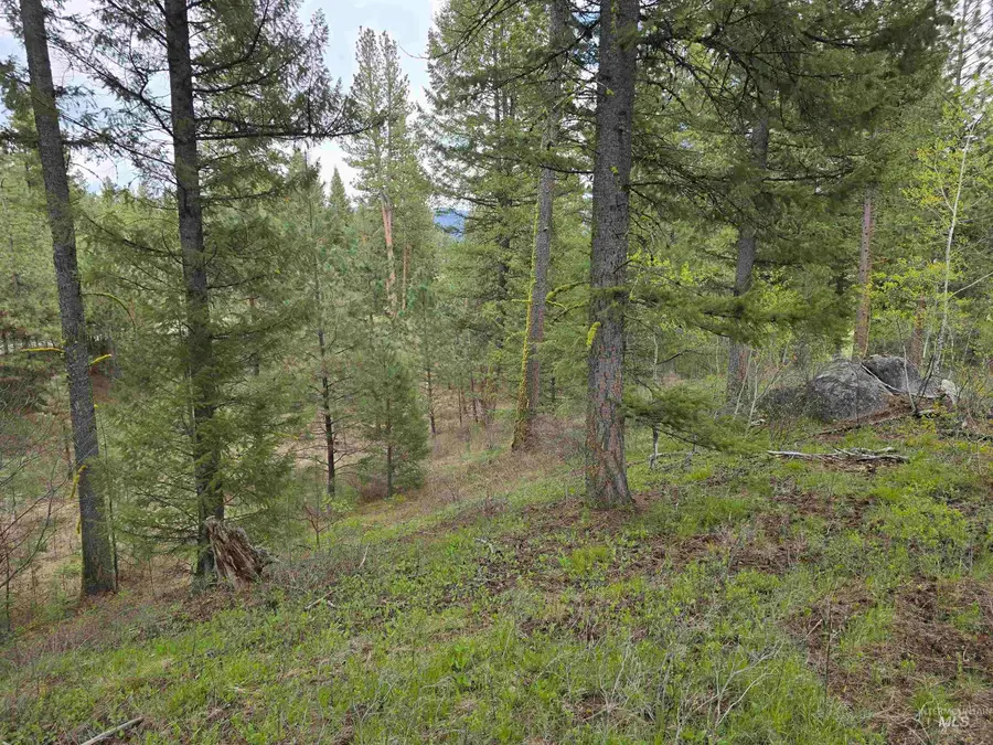 L3 B2 Rehn Loop, Cascade, ID 83611 - #2
