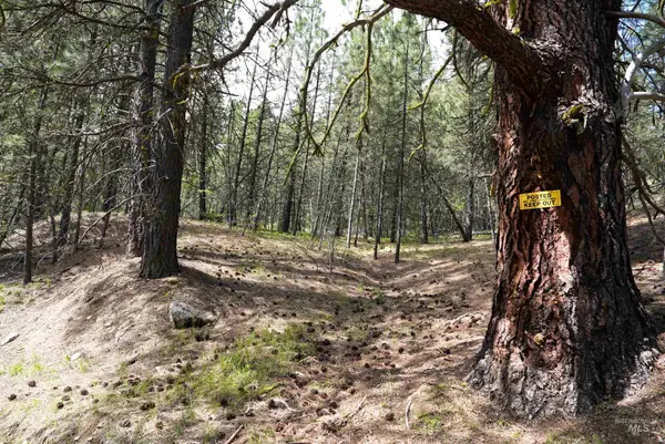 Lot 28 Fire Ridge Rd., Garden Valley, ID 83622