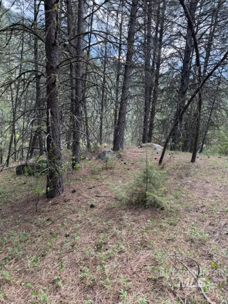 Lot 28 Fire Ridge Rd., Garden Valley, ID 83622 - #3