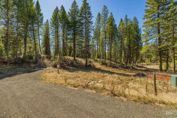 9 Collins Court, McCall, ID 83638