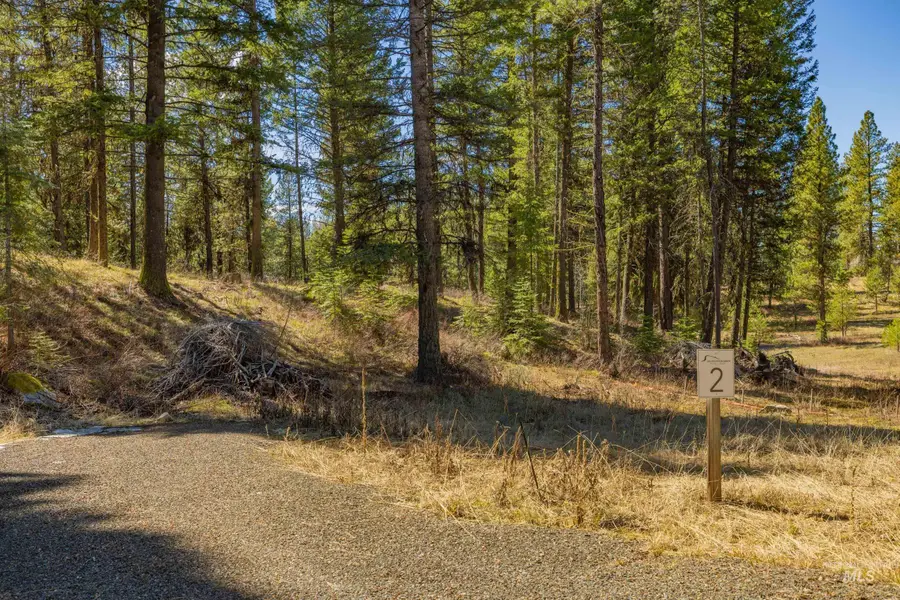 9 Collins Court, McCall, ID 83638 - #3