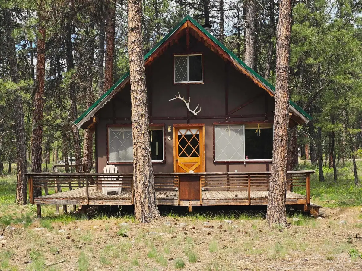 4 Jolene Dr, Lowman, ID 83637 - #1