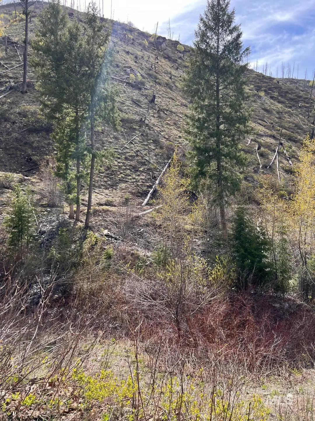 Quartz Creek Rd., Atlanta, ID 83647 - #1