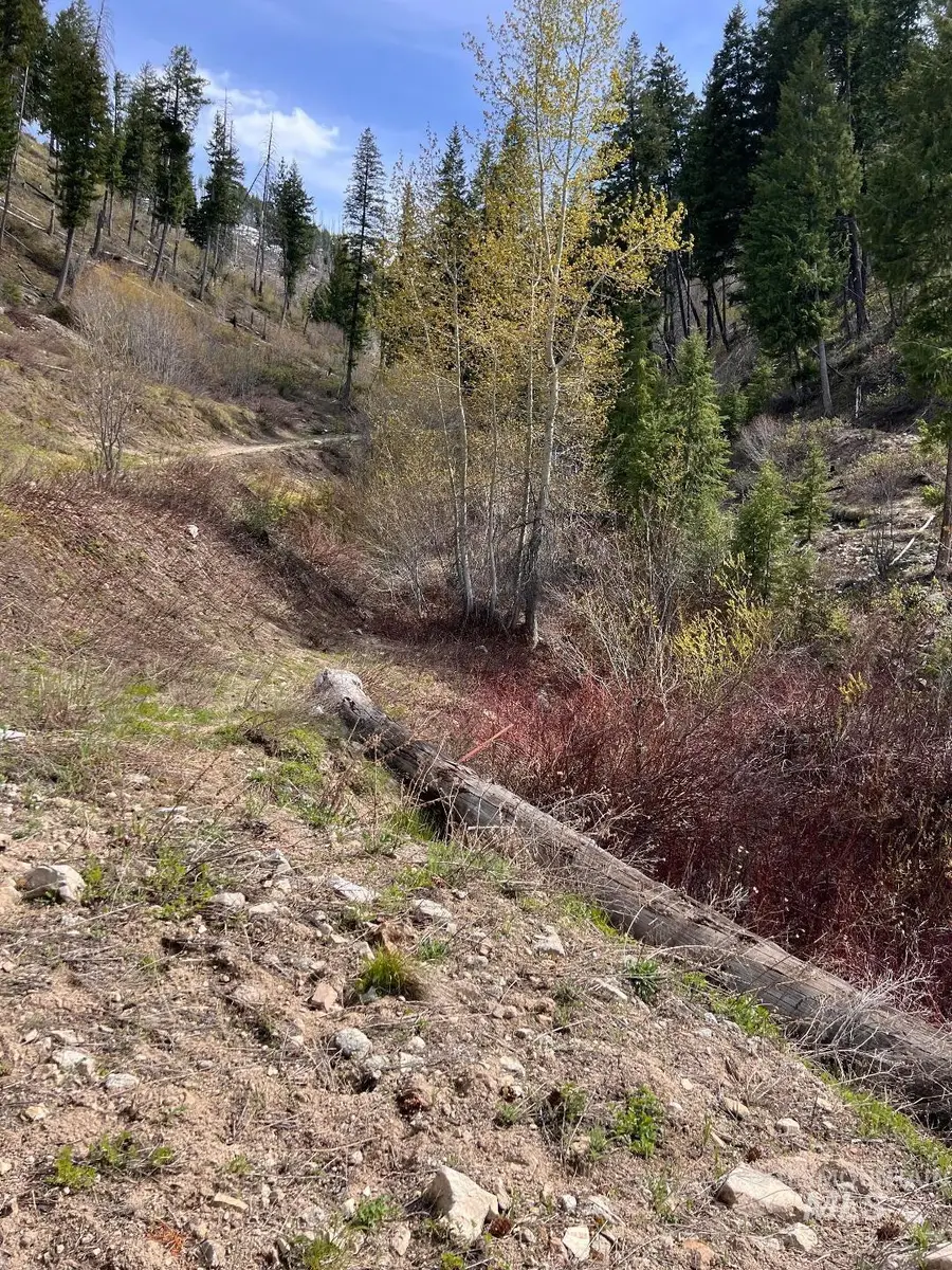 Quartz Creek Rd., Atlanta, ID 83647 - #3