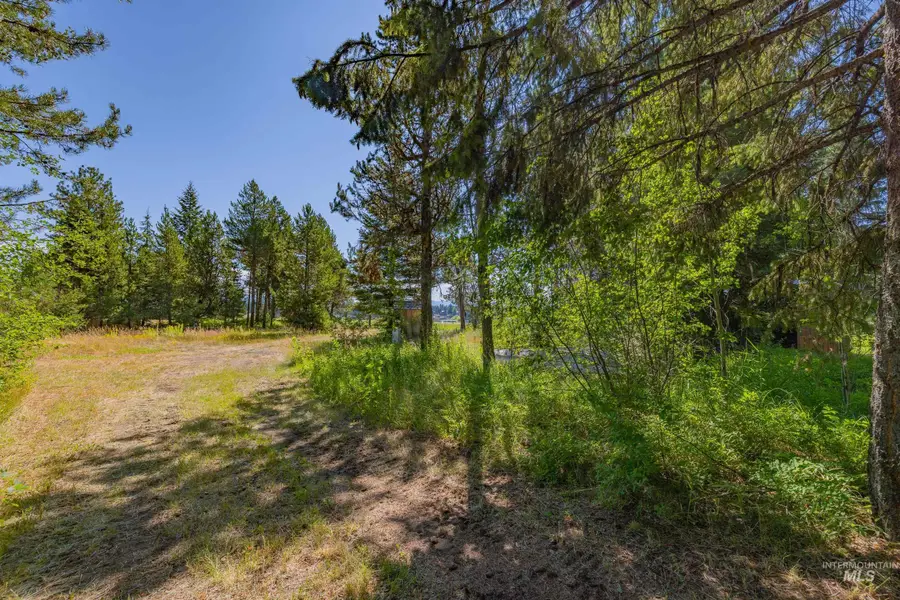 12980 Ponderosa Dr, Donnelly, ID 83615 - #2