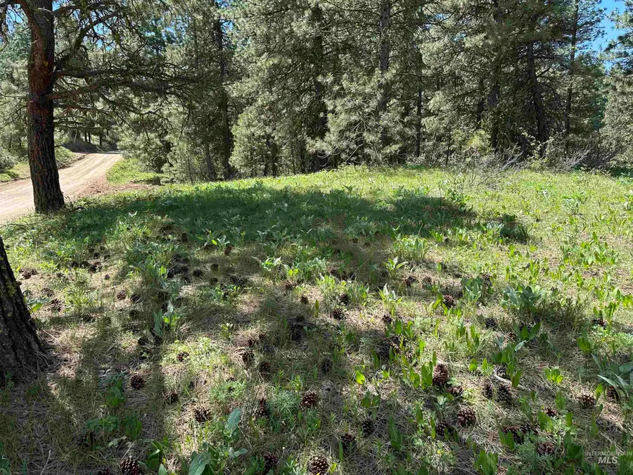 TBD Cruickshank Rd, Banks, ID 83602 - #3