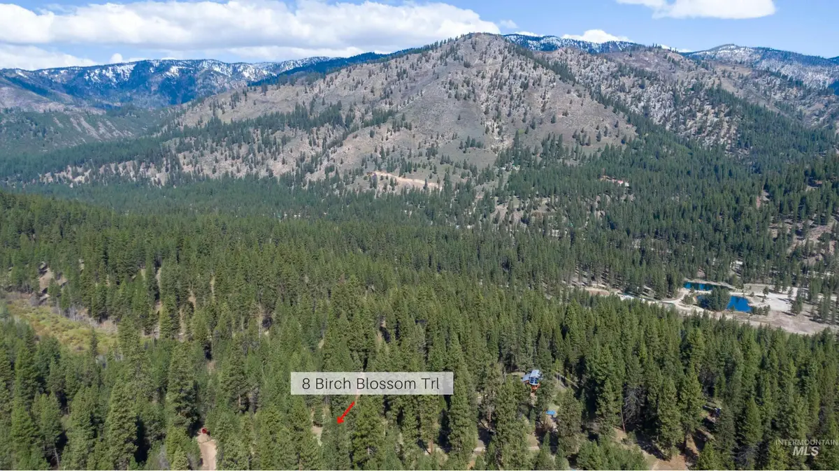 8 Birch Blossom Trl, Lowman, ID 83637 - #1
