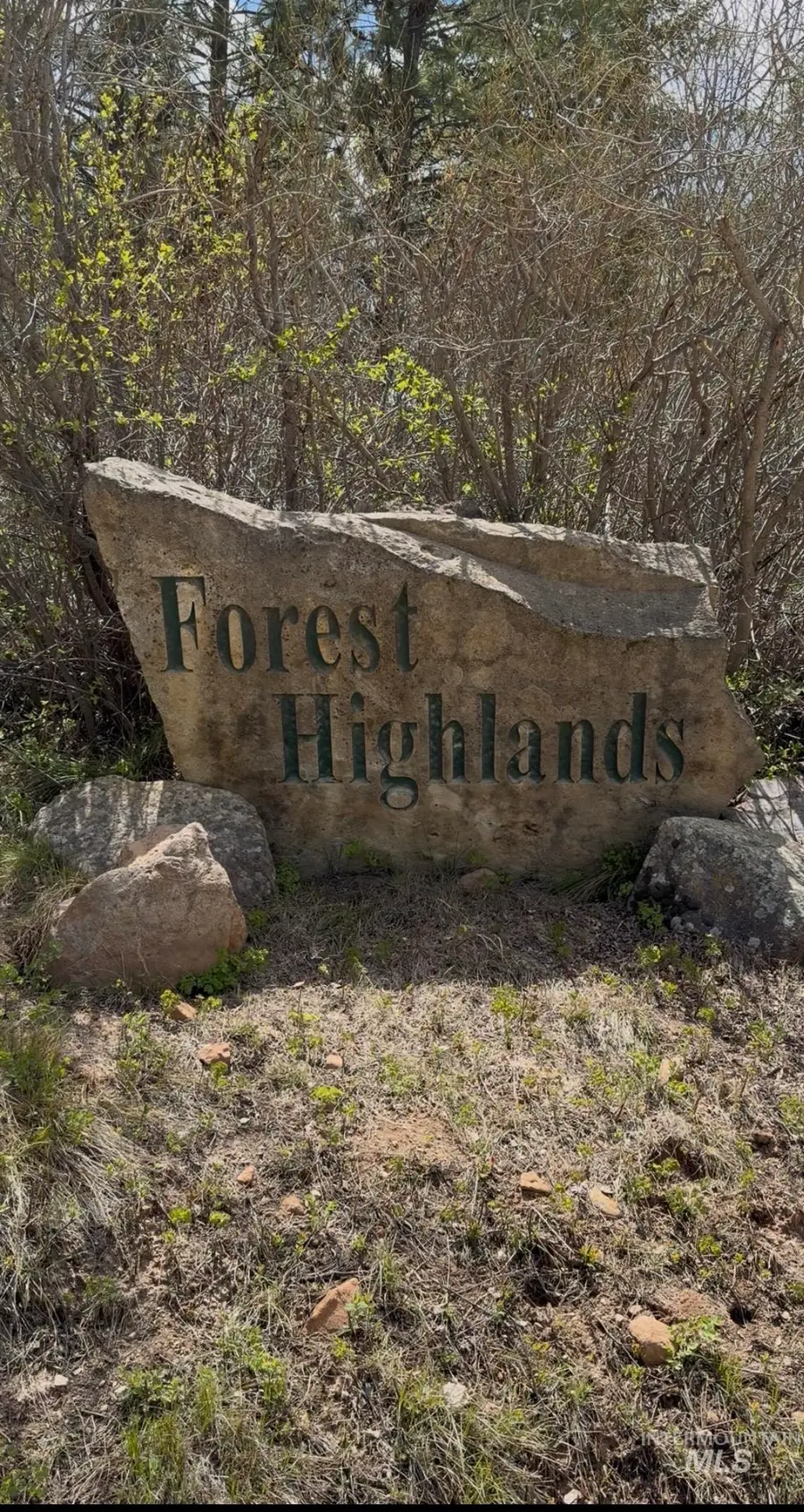 Lot 20 Crow Court, Boise, ID 83716 - #2