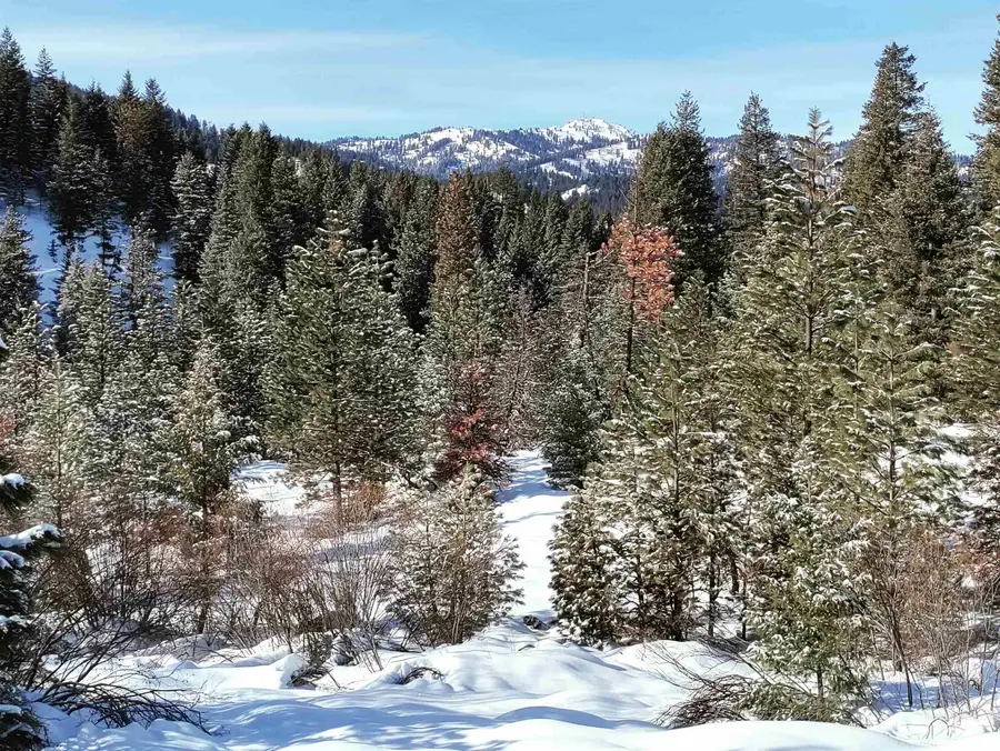 Lot 20 Crow Court, Boise, ID 83716 - #3