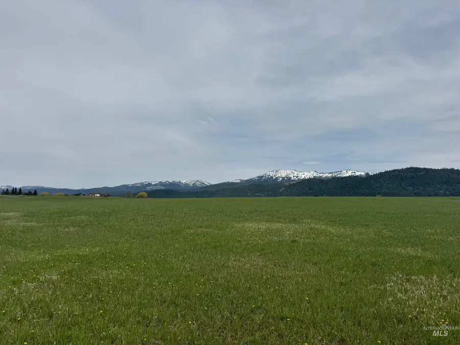 76 Willey Lane, McCall, ID 83638 - #3