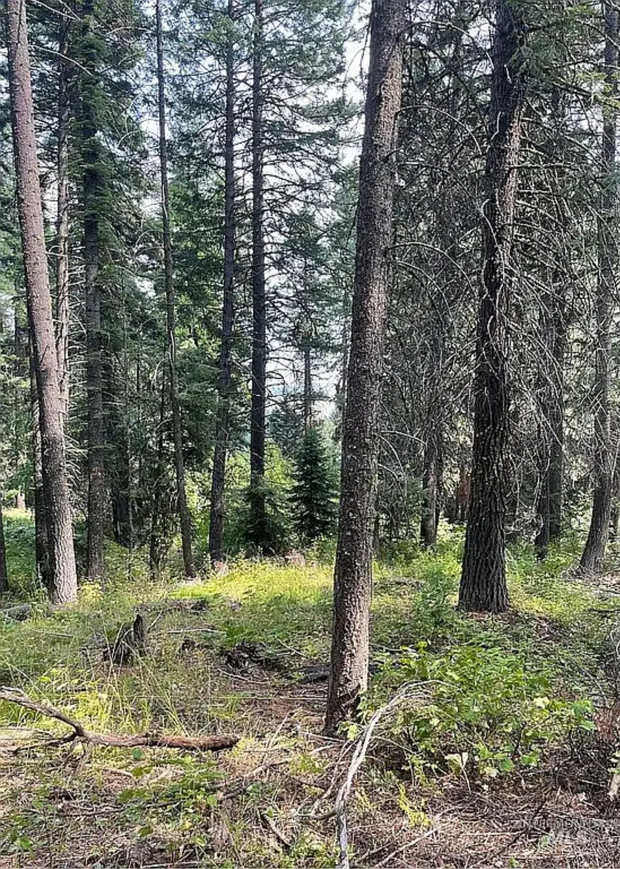 66 Hillside Trail, Donnelly, ID 83615 - #3