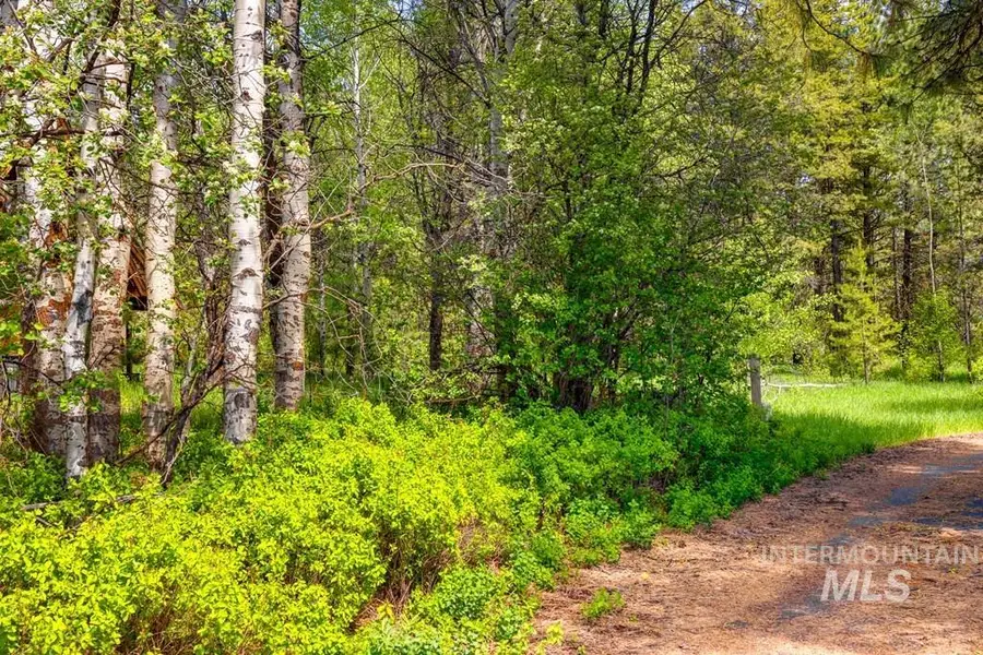Lot 2 Comfort Ct., McCall, ID 83638 - #2