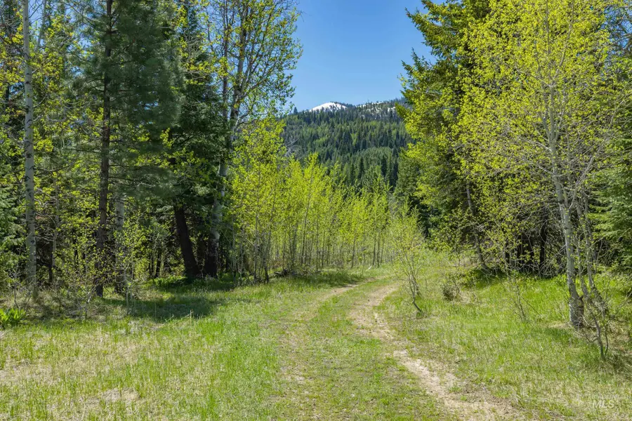 Lot #5 Old Council Rd, McCall, ID 83638 - #3