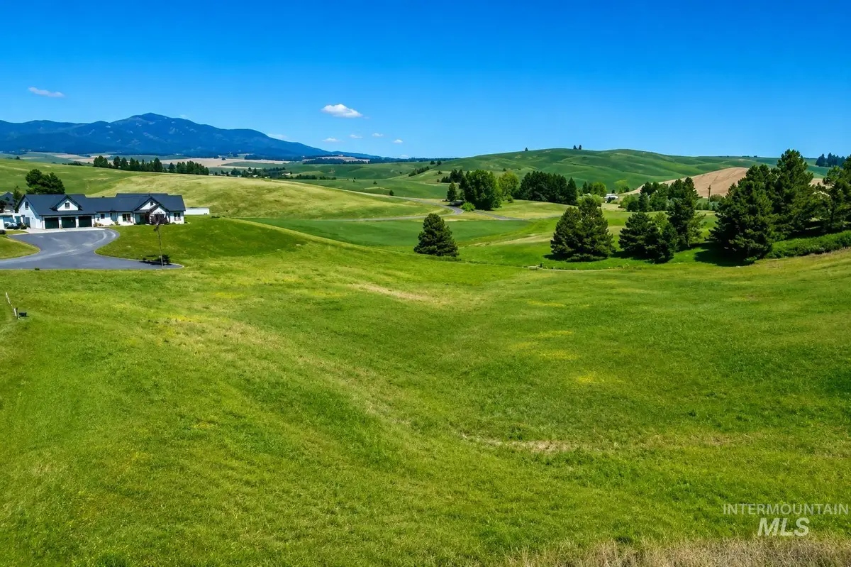 000 Capybara Lane, Moscow, ID 83843 - #1