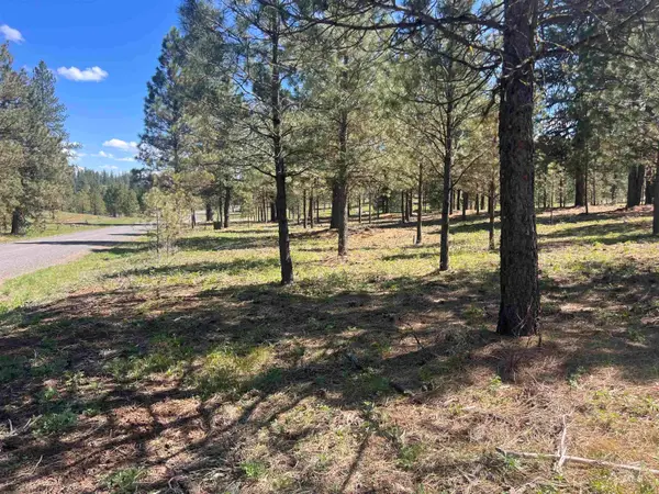 Lot 44 Old Hwy 95, New Meadows, ID 83654