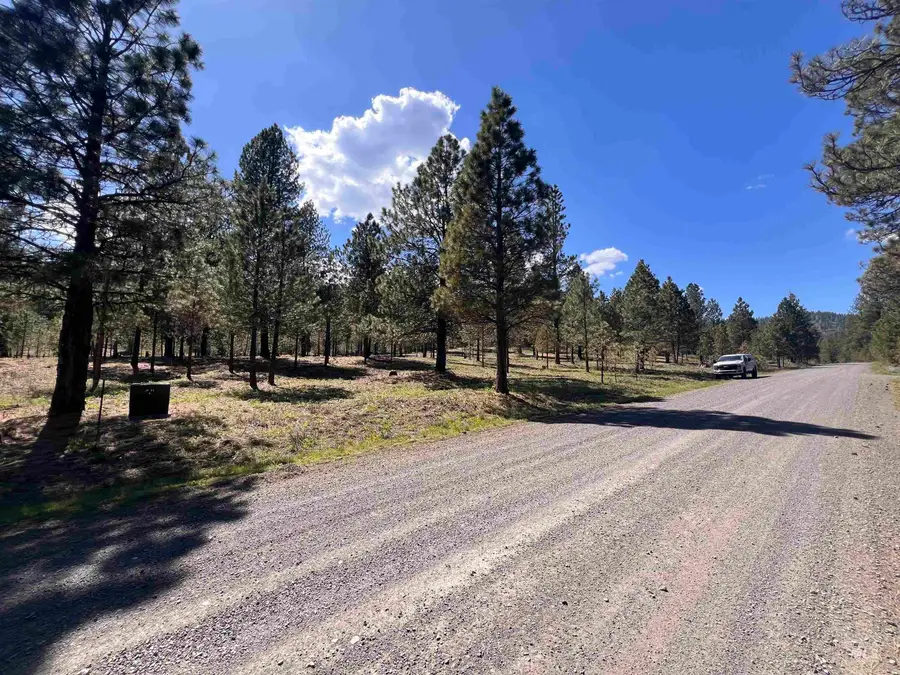 Lot 44 Old Hwy 95, New Meadows, ID 83654 - #3