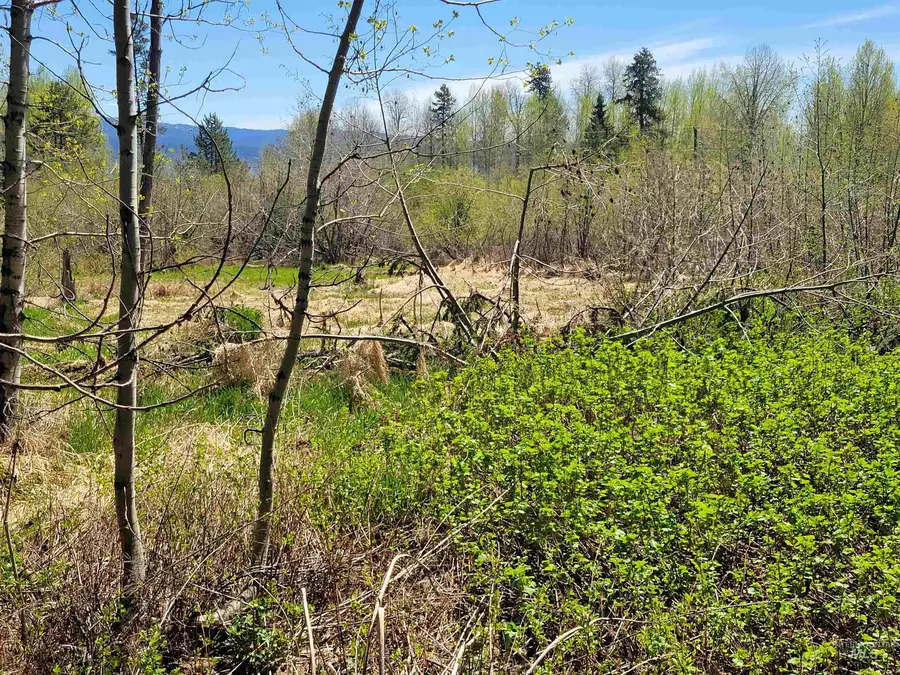 1602 Bear Trail Loop, Donnelly, ID 83615 - #2